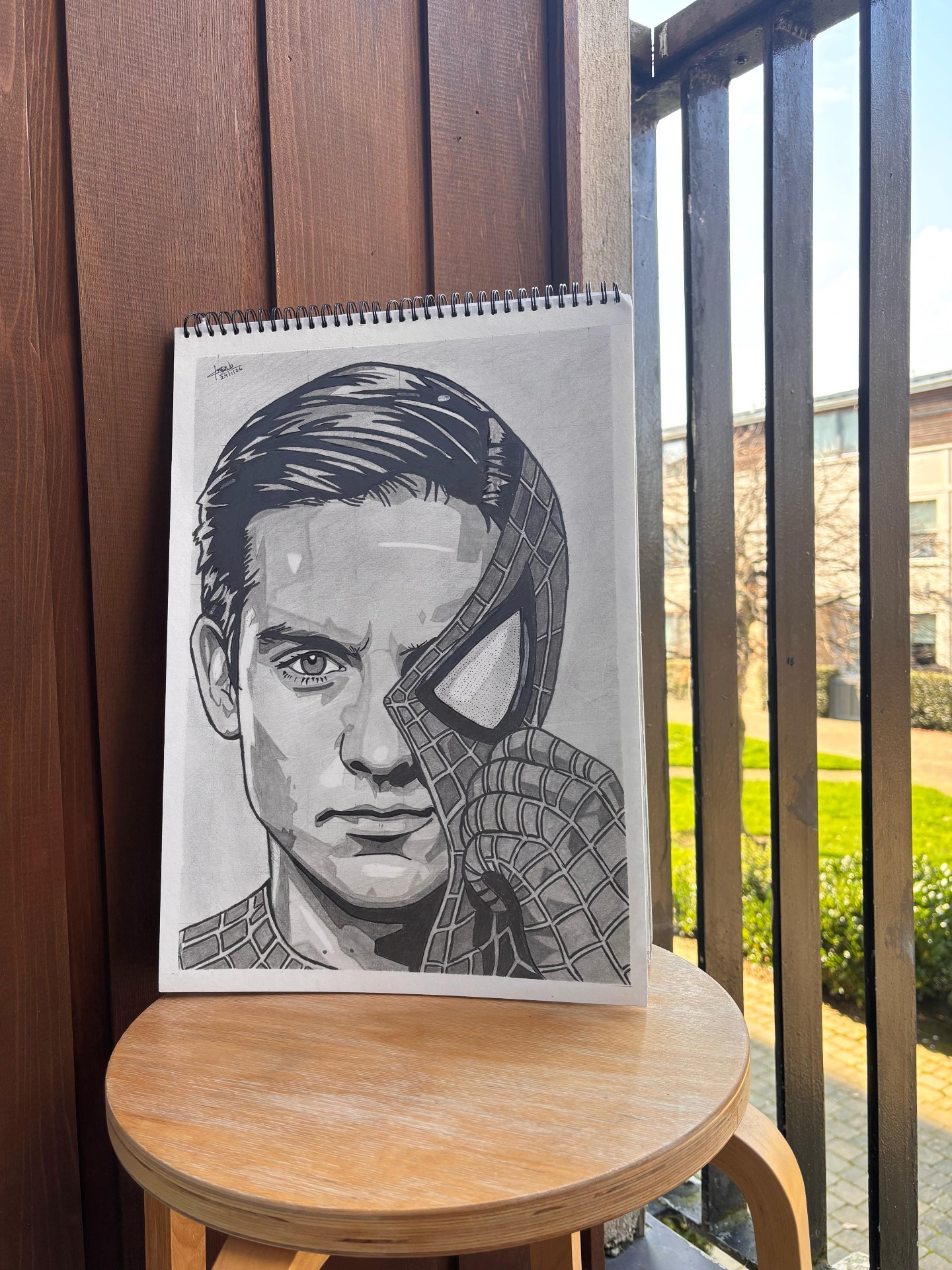 Dual Identity — Peter Parker
